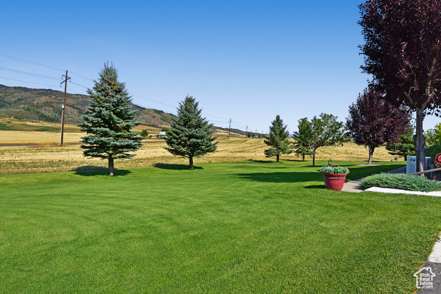 1500 Fish Creek Road Bancroft, ID 83217 - Photo 33 of 45 Surrounding community featuring a lawn, a view of rural / pastoral area, and a mountain view