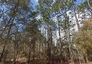 $10,000 | Akron Street, Interlachen, FL 32148