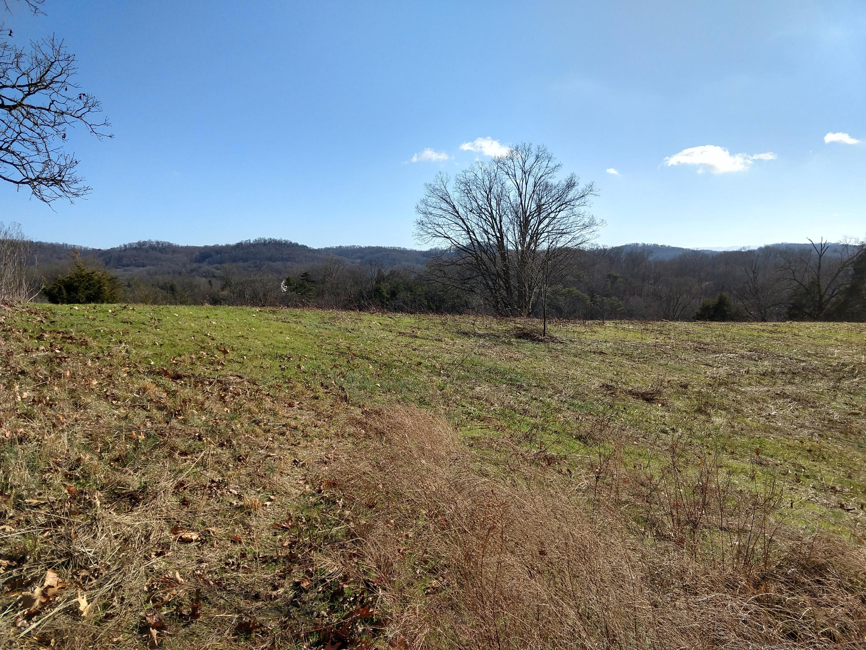 5835 Whitehouse Road Greeneville, TN 37745 - Photo 1 of 36 IMG_20191218_123140022_HDR