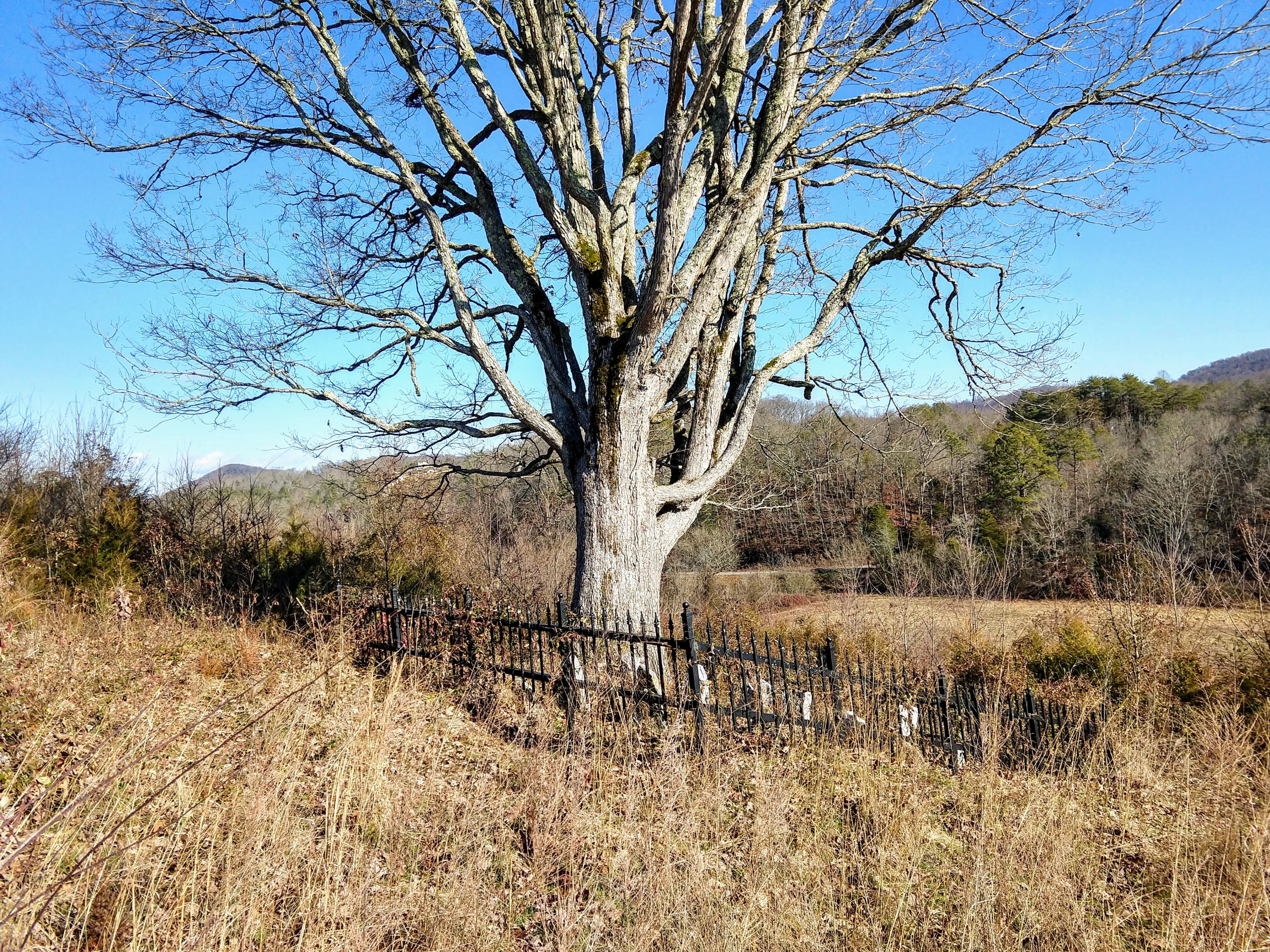 5835 Whitehouse Road Greeneville, TN 37745 - Photo 20 of 36 IMG_20191218_122508120_HDR
