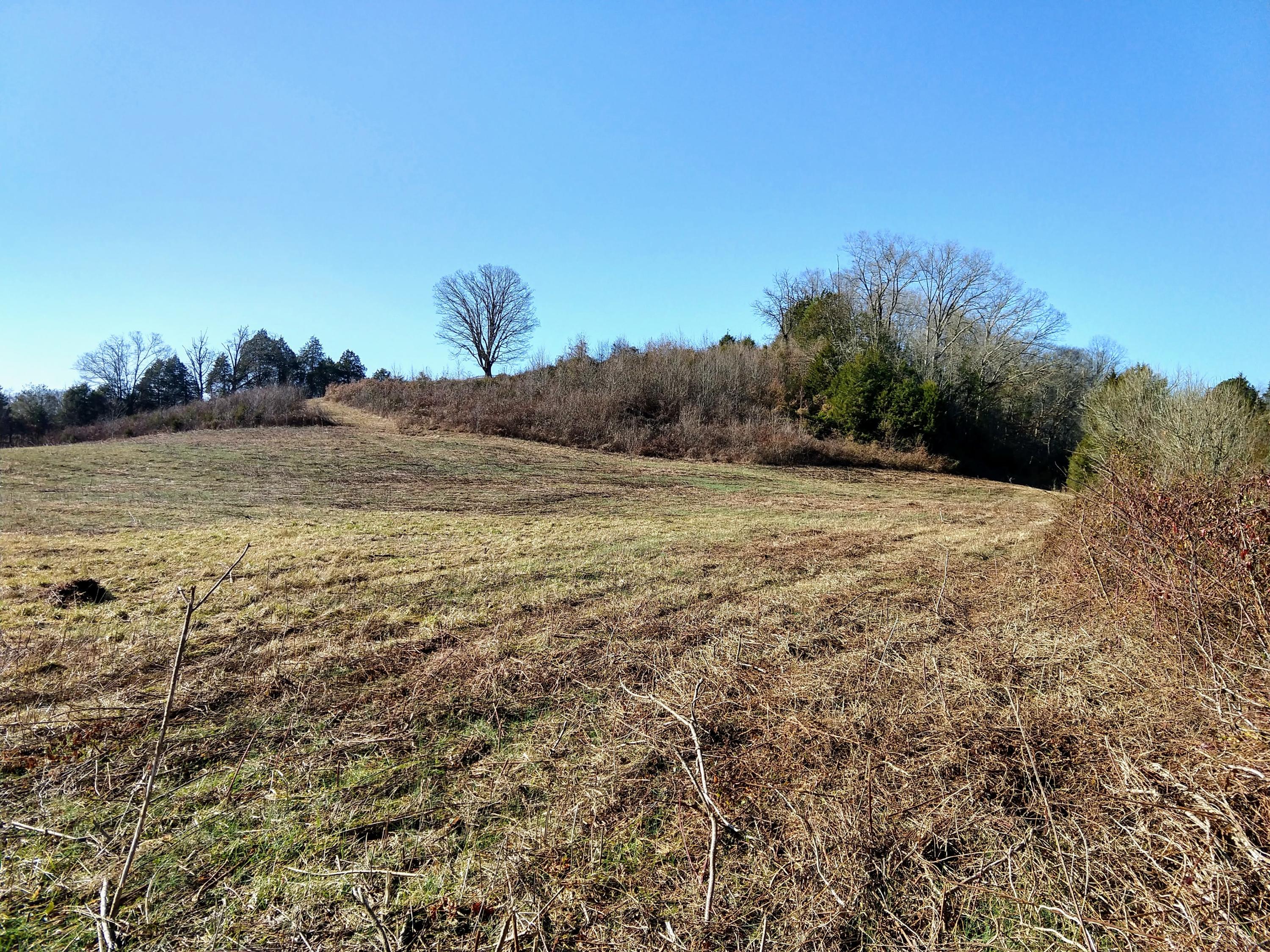 5835 Whitehouse Road Greeneville, TN 37745 - Photo 7 of 36 IMG_20191218_121925782_HDR