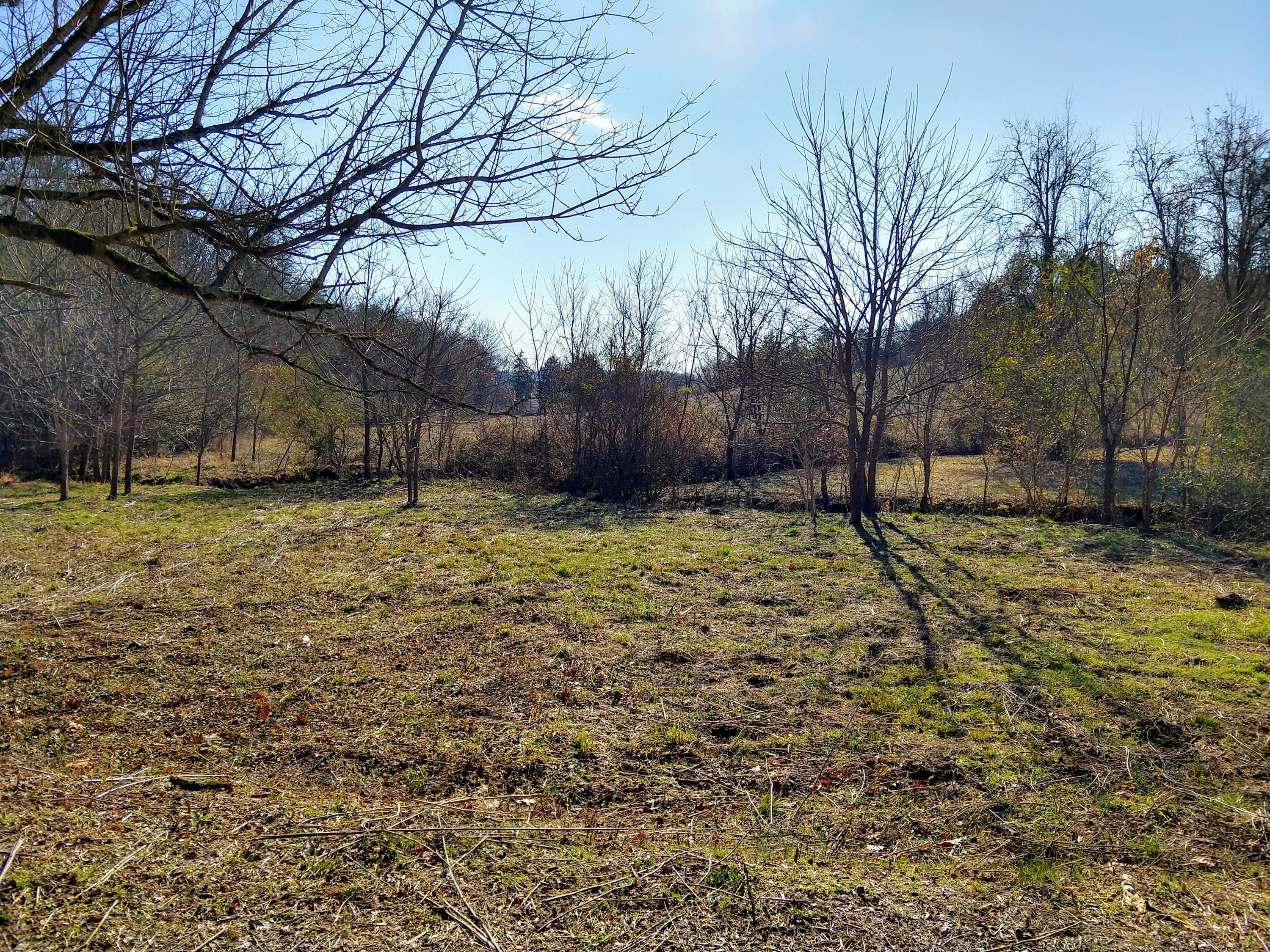 5835 Whitehouse Road Greeneville, TN 37745 - Photo 8 of 36 IMG_20191218_140651085_HDR
