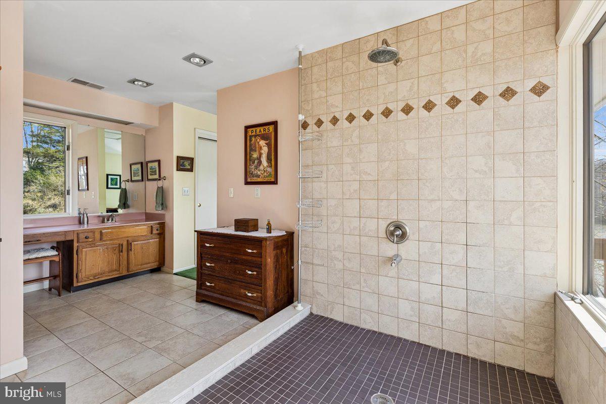 10087 John Carvill Road Chestertown, MD 21620 - Photo 25 of 63 a bathroom with a sink a mirror and a shower