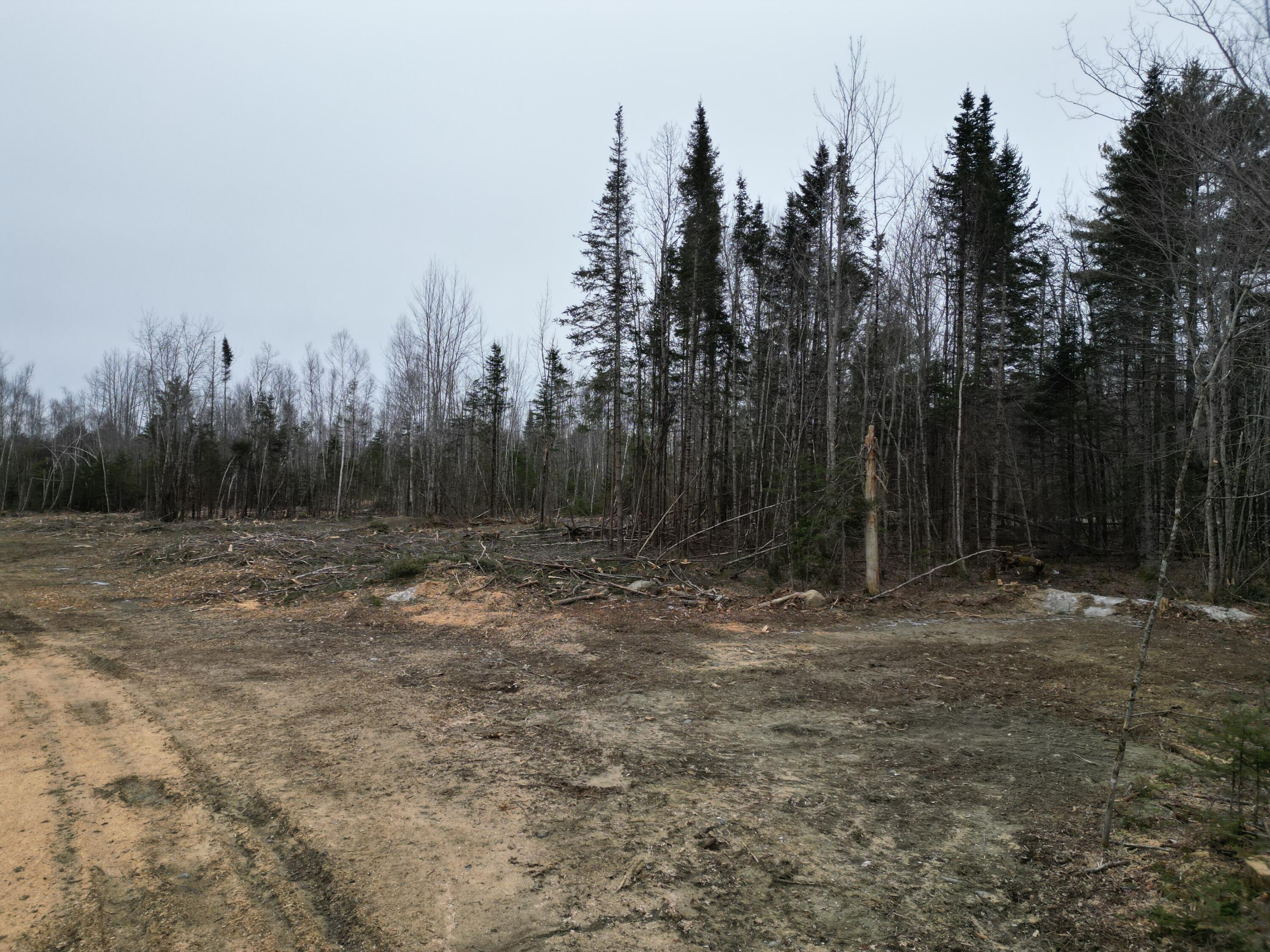 Lot 52.3 Lagrange Road Milo, ME 04463 - Photo 3 of 24 DJI_0232