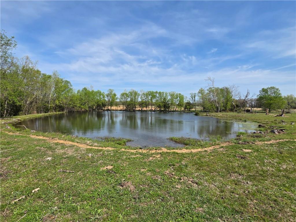 9676 South 501 Road El Dorado Springs, MO 64744 - Photo 2 of 50