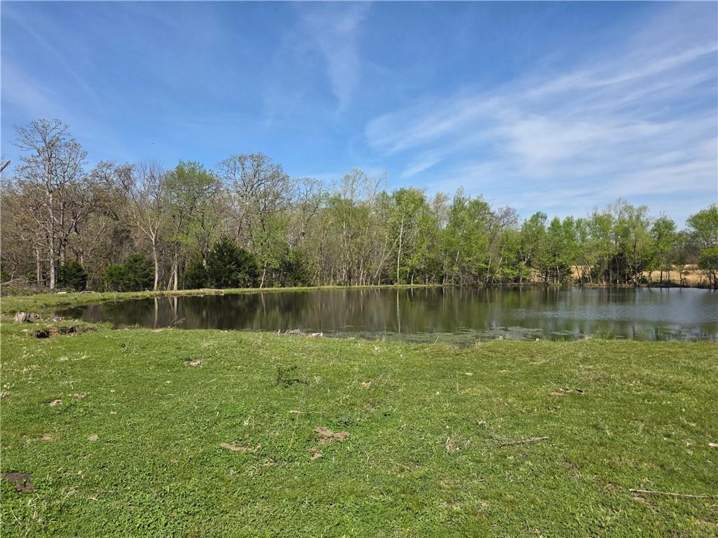 9676 South 501 Road El Dorado Springs, MO 64744 - Photo 35 of 50