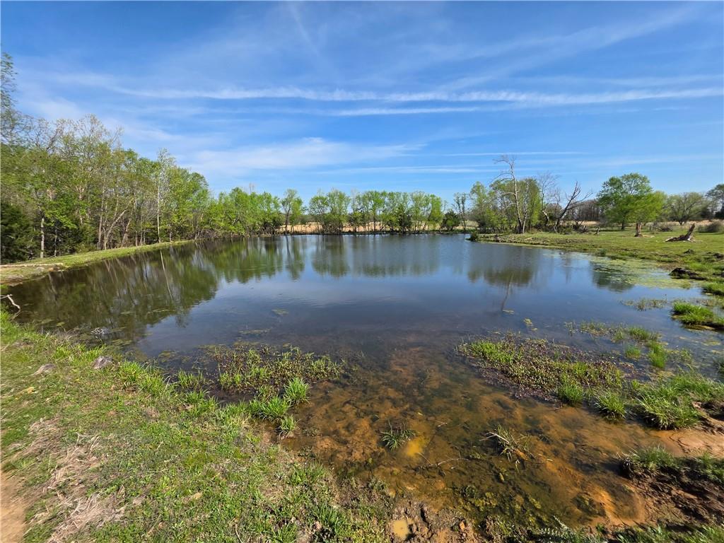 9676 South 501 Road El Dorado Springs, MO 64744 - Photo 36 of 50