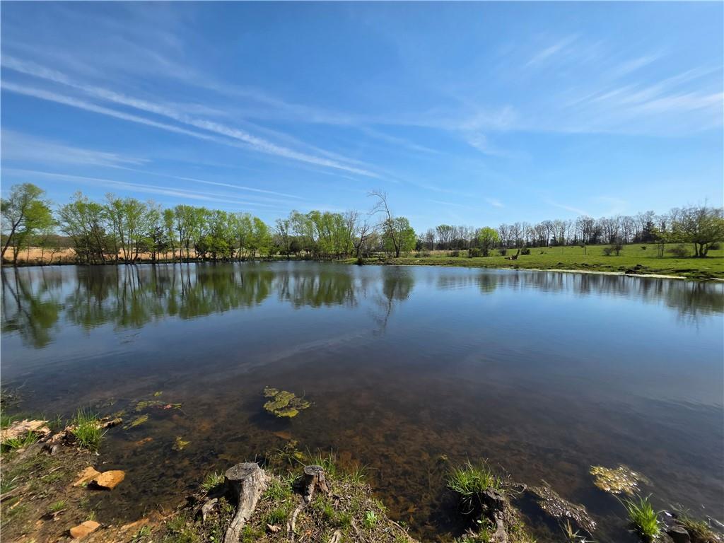 9676 South 501 Road El Dorado Springs, MO 64744 - Photo 37 of 50