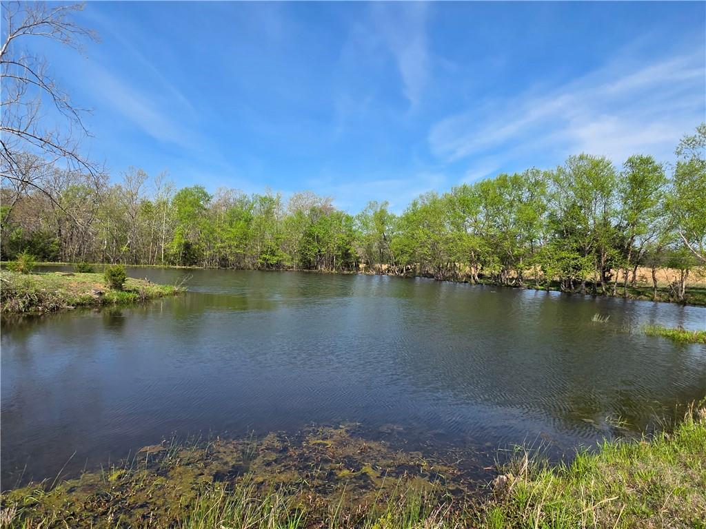 9676 South 501 Road El Dorado Springs, MO 64744 - Photo 38 of 50