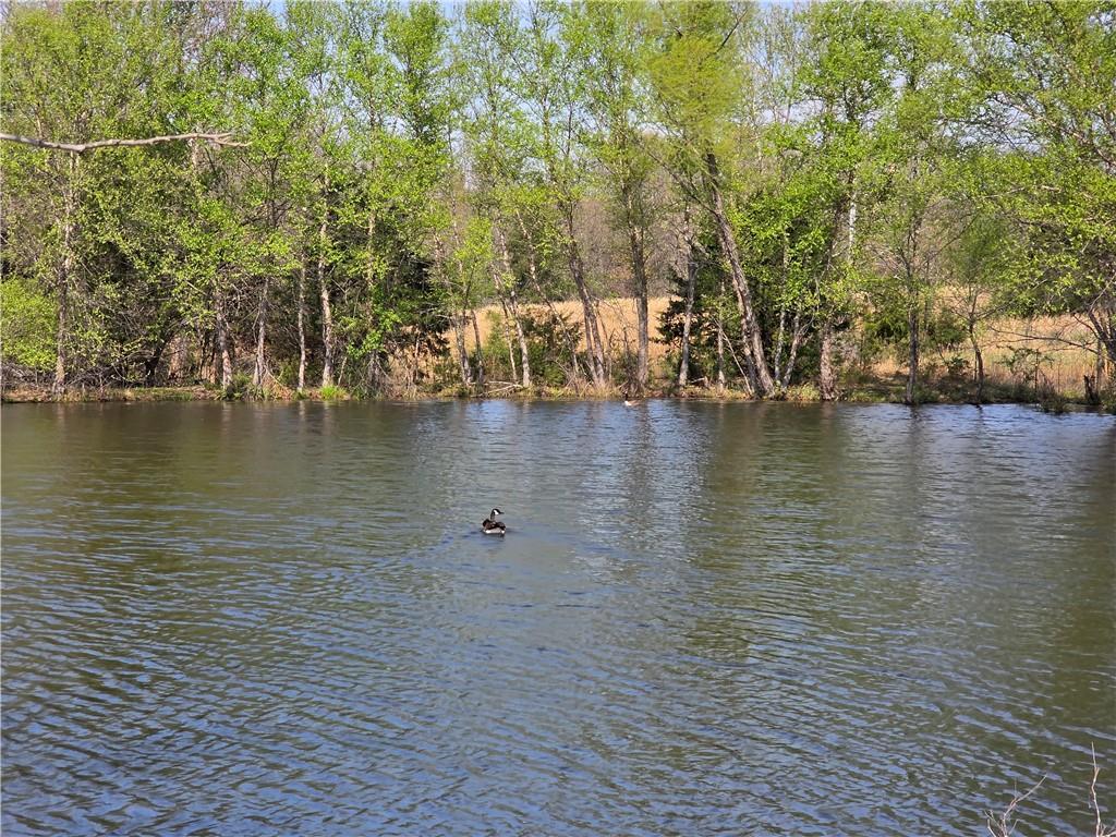 9676 South 501 Road El Dorado Springs, MO 64744 - Photo 39 of 50