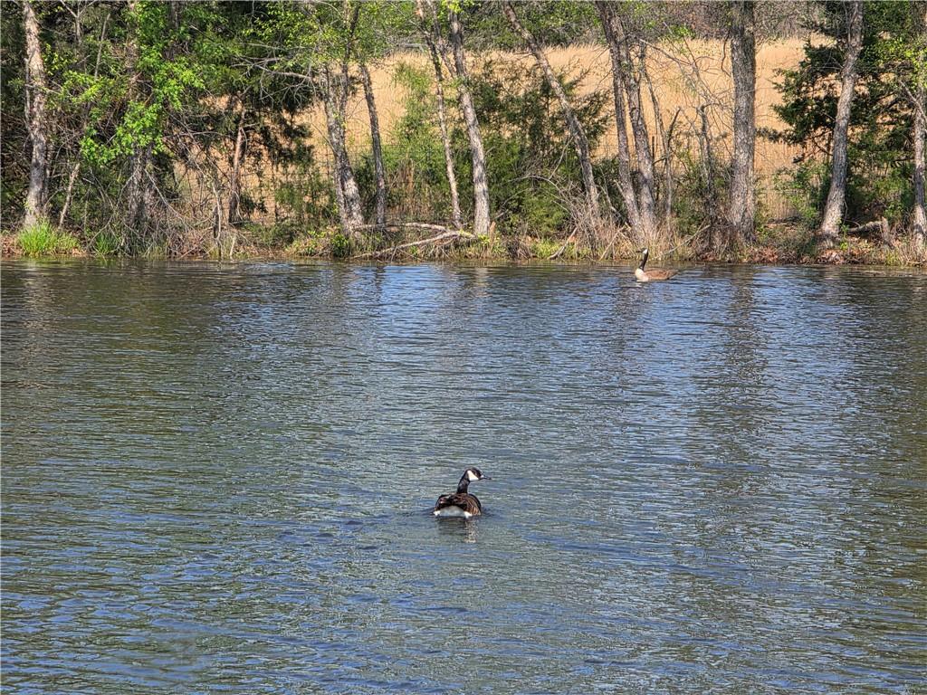 9676 South 501 Road El Dorado Springs, MO 64744 - Photo 40 of 50