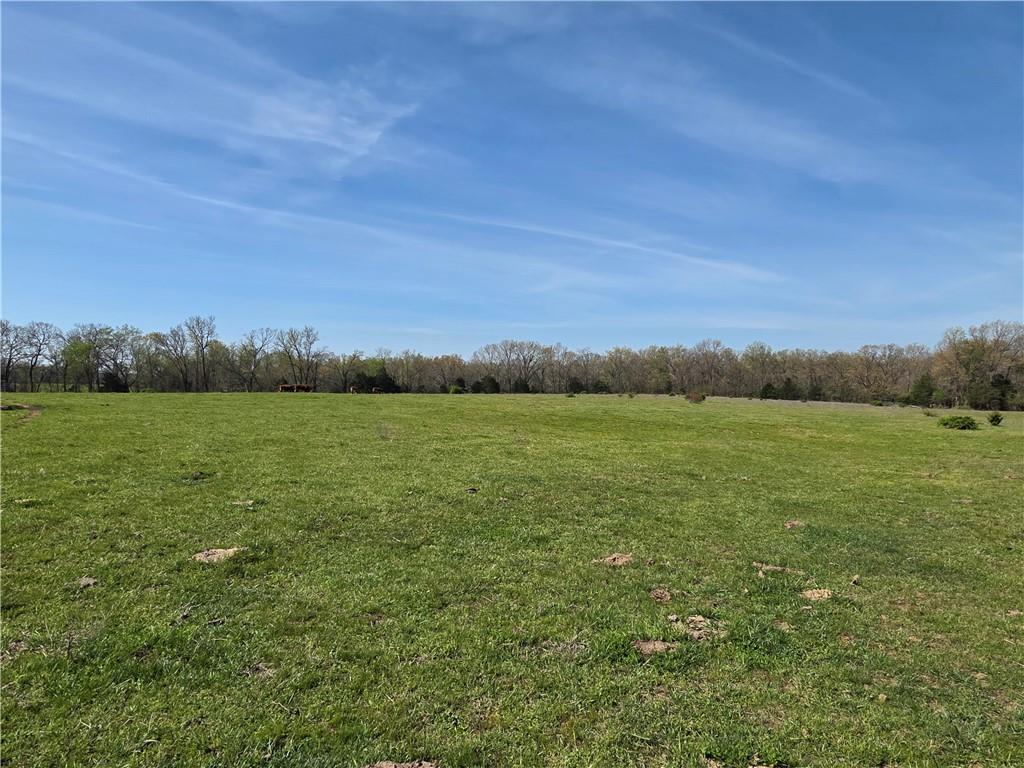 9676 South 501 Road El Dorado Springs, MO 64744 - Photo 41 of 50