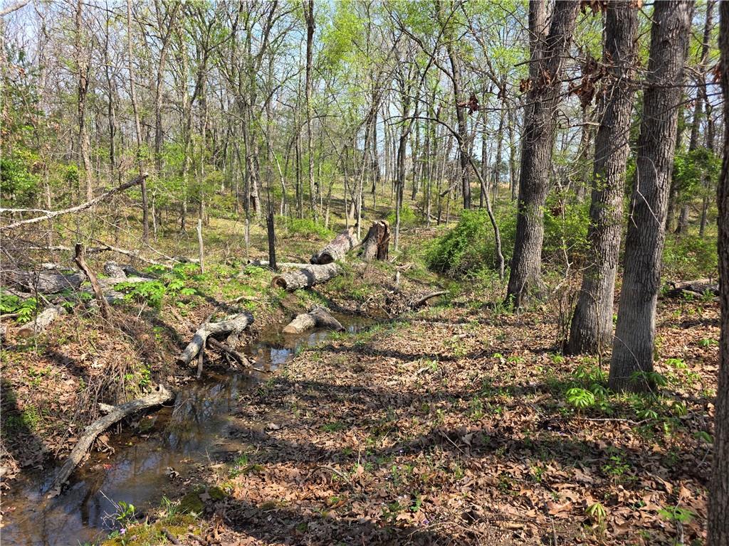 9676 South 501 Road El Dorado Springs, MO 64744 - Photo 44 of 50