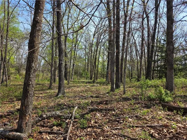 $324,900 | 9676 South 501 Road, El Dorado Springs, MO 64744