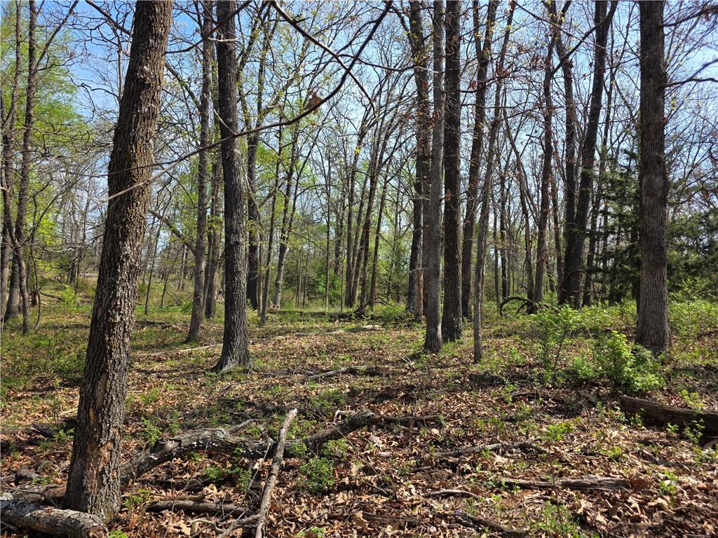 9676 South 501 Road El Dorado Springs, MO 64744 - Photo 45 of 50