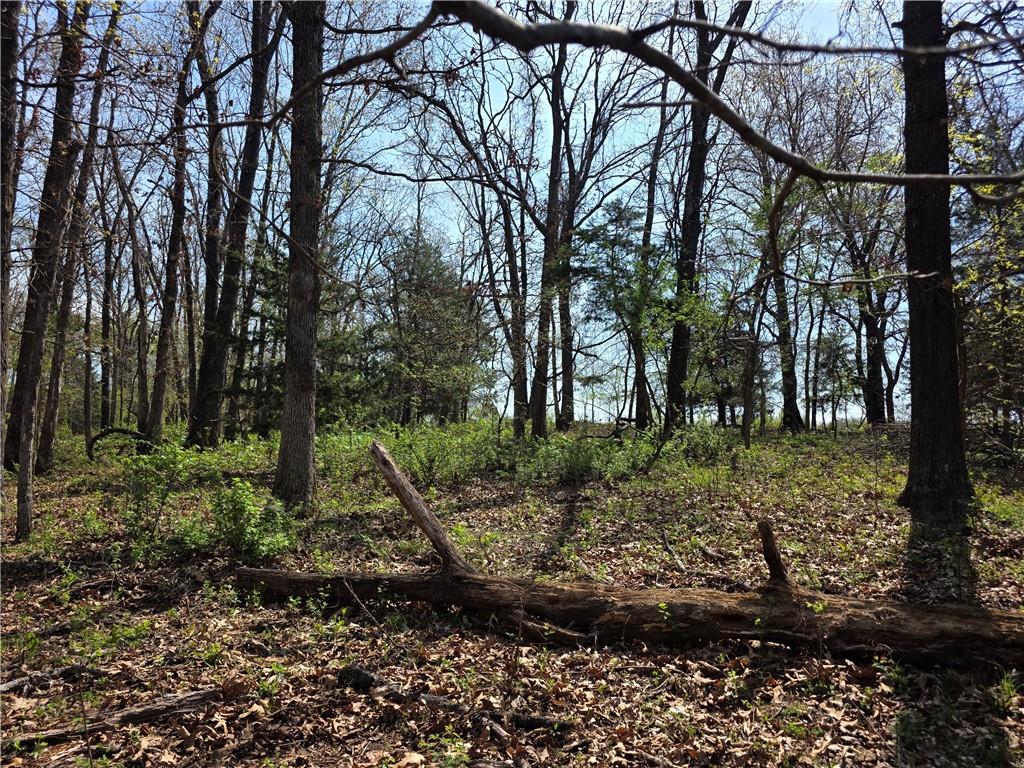 9676 South 501 Road El Dorado Springs, MO 64744 - Photo 46 of 50