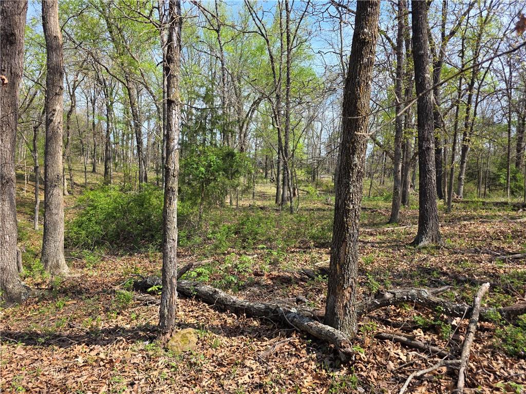 9676 South 501 Road El Dorado Springs, MO 64744 - Photo 47 of 50