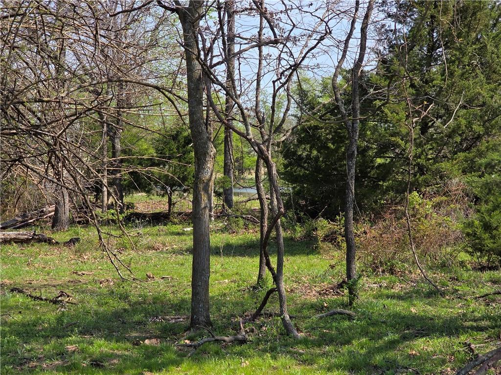 9676 South 501 Road El Dorado Springs, MO 64744 - Photo 48 of 50