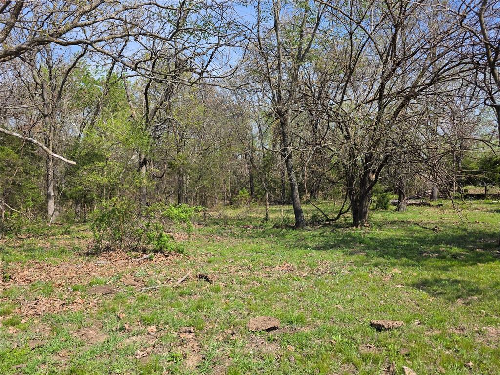 9676 South 501 Road El Dorado Springs, MO 64744 - Photo 49 of 50