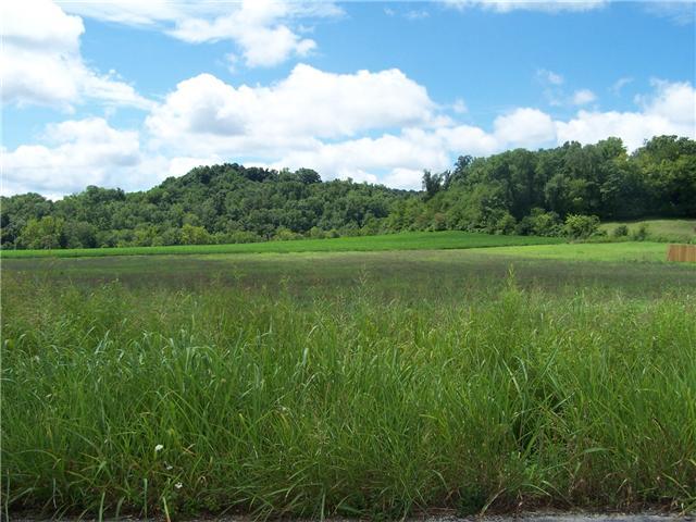 4 Dry Fork Road Hampshire, TN 38461 - Photo 1 of 2 Gallery Image 1
