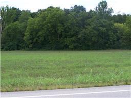 4 Dry Fork Road Hampshire, TN 38461 - Photo 2 of 2 Gallery Image 2