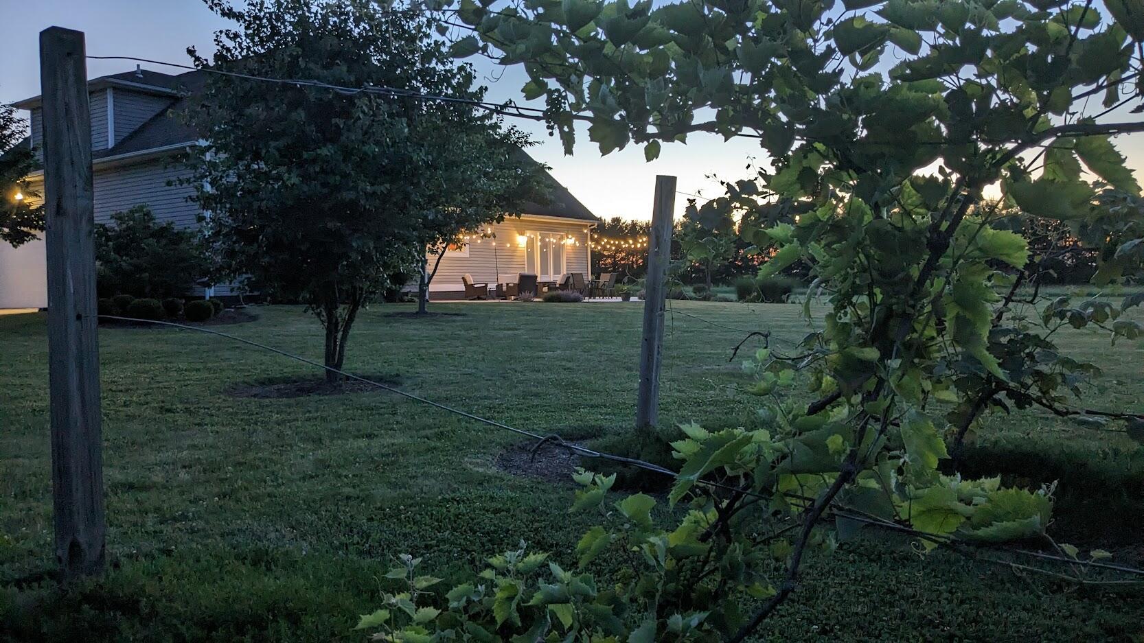 10304 Rosedale-Milford Center Road Irwin, OH 43029 - Photo 45 of 54 Back Patio--Grapes