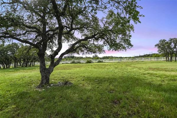 a view of a field with a tree