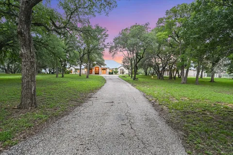 a view of a park with large trees