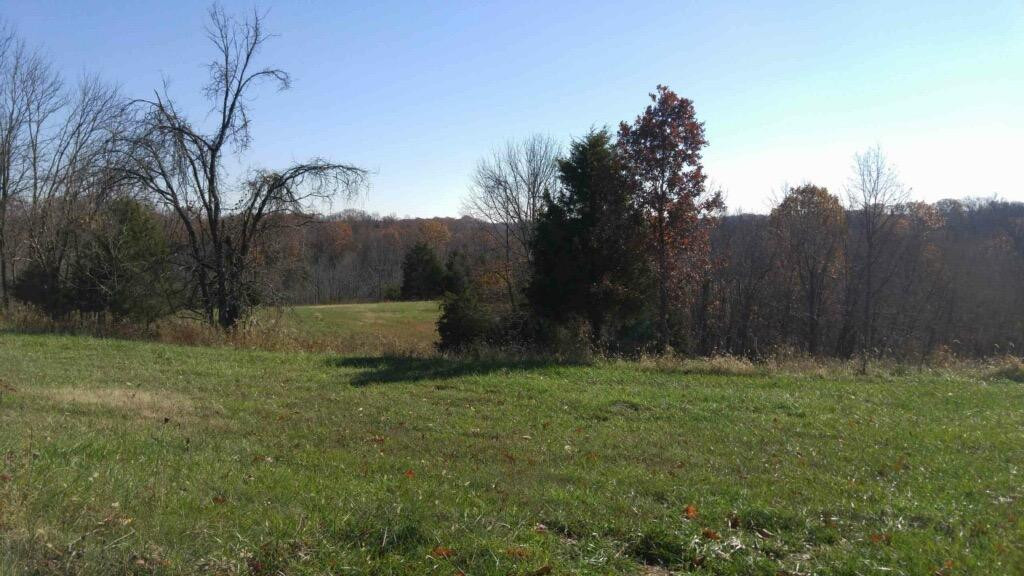 14150 Georgetown Road Stamping Ground, KY 40379 - Photo 4 of 7 Photo 4