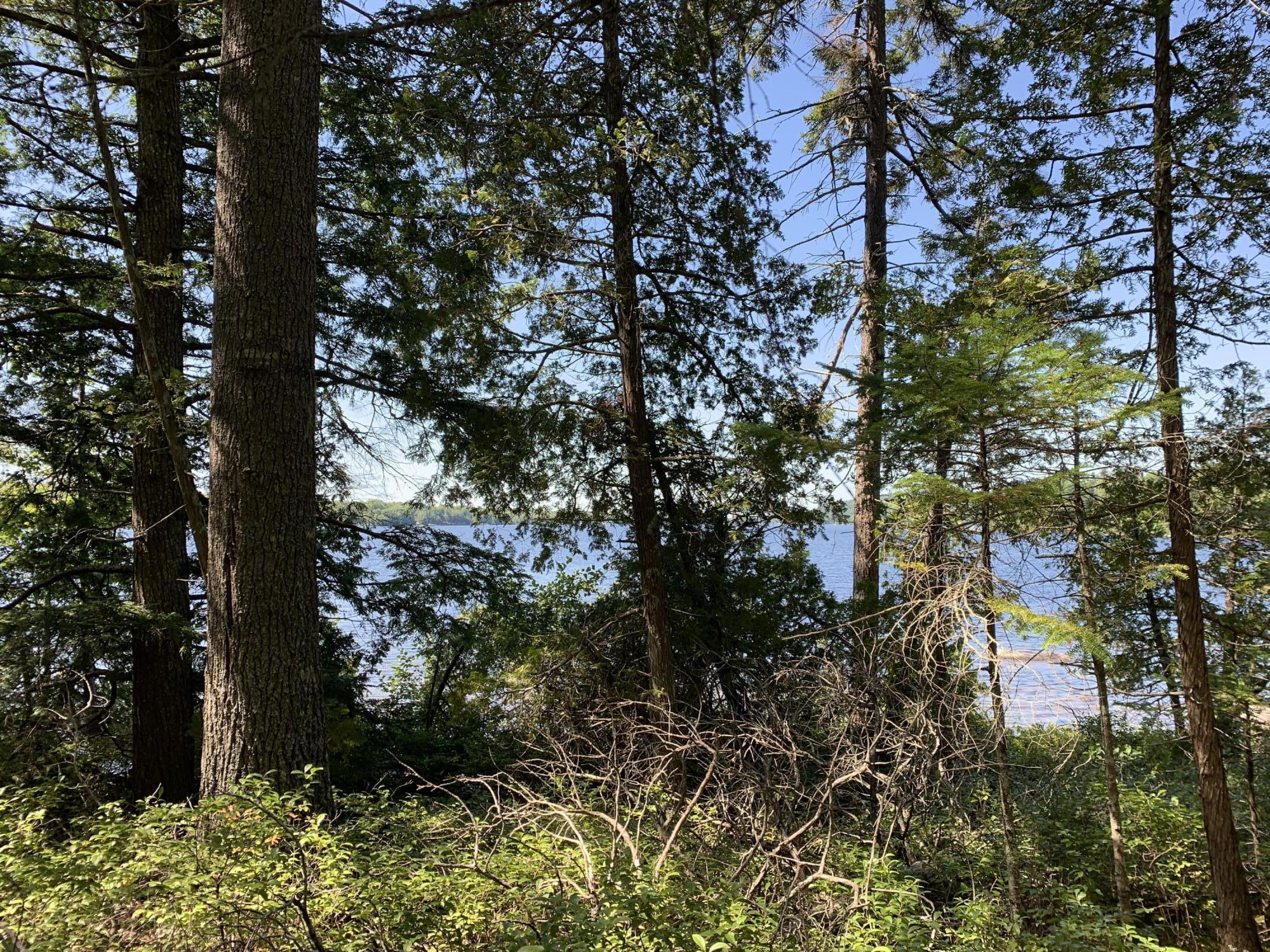 534 Back Ridge Road Orland, ME 04472 - Photo 29 of 32 View from Shore Area 2