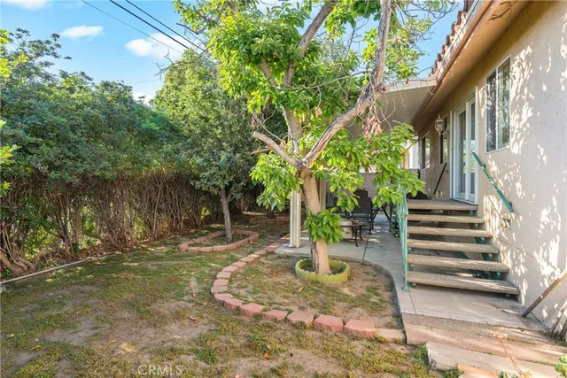 a view of a yard with plants and trees