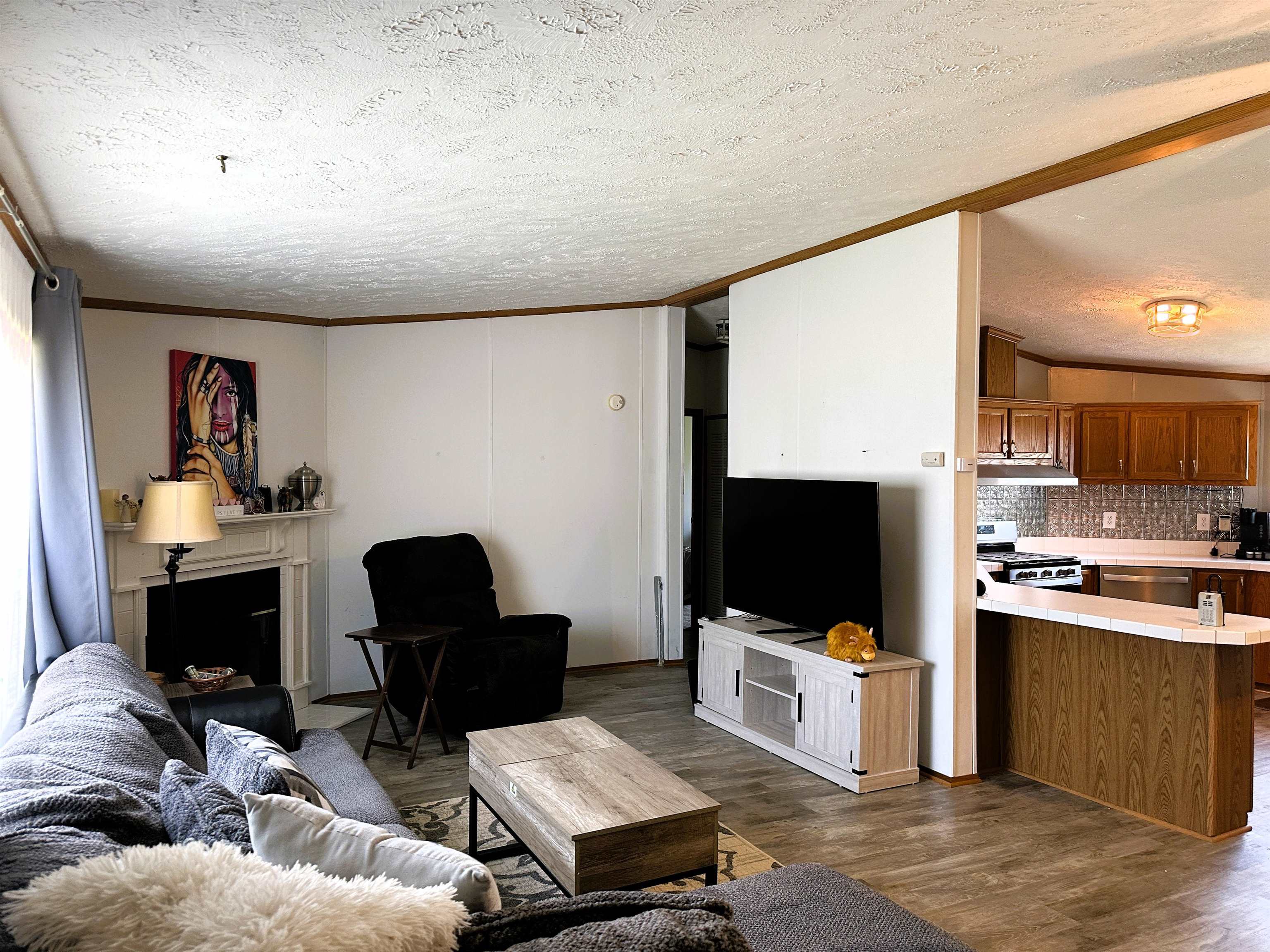 291 Highway 2 Dixon, IL 61021 - Photo 4 of 27 a living room with furniture and a flat screen tv