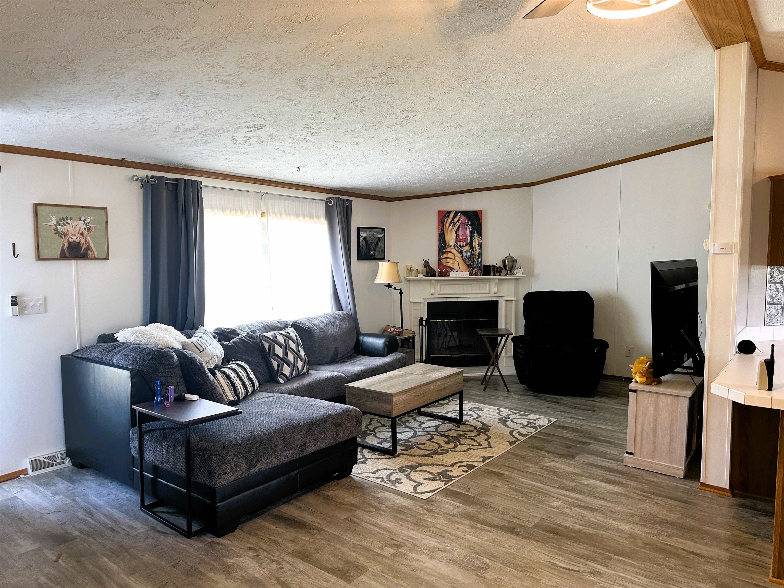 291 Highway 2 Dixon, IL 61021 - Photo 6 of 27 a living room with furniture a flat screen tv and a dresser