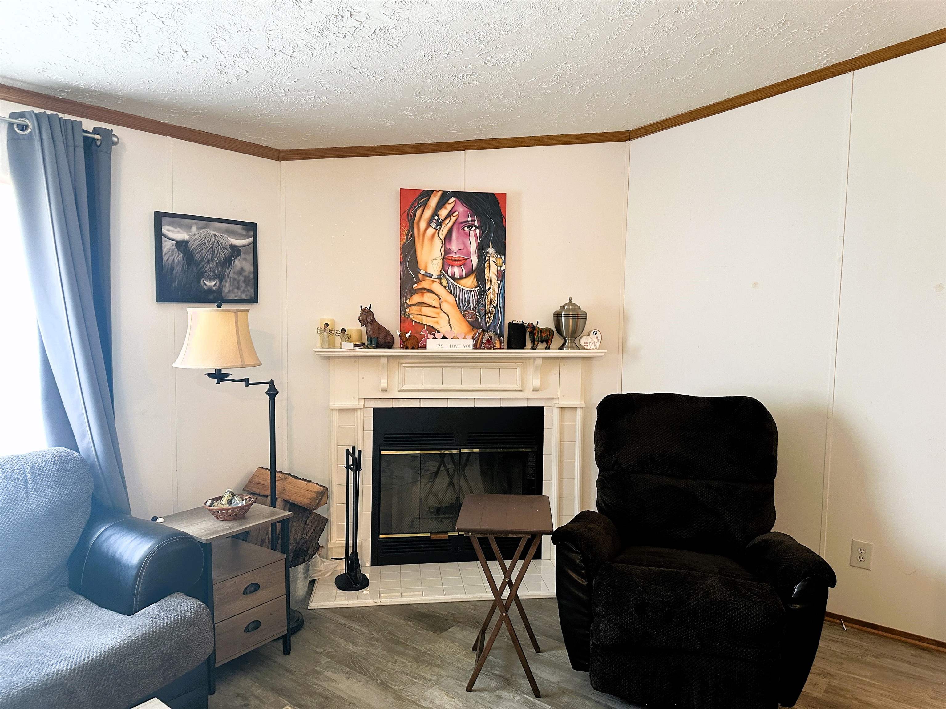 291 Highway 2 Dixon, IL 61021 - Photo 8 of 27 a living room with furniture and a fireplace
