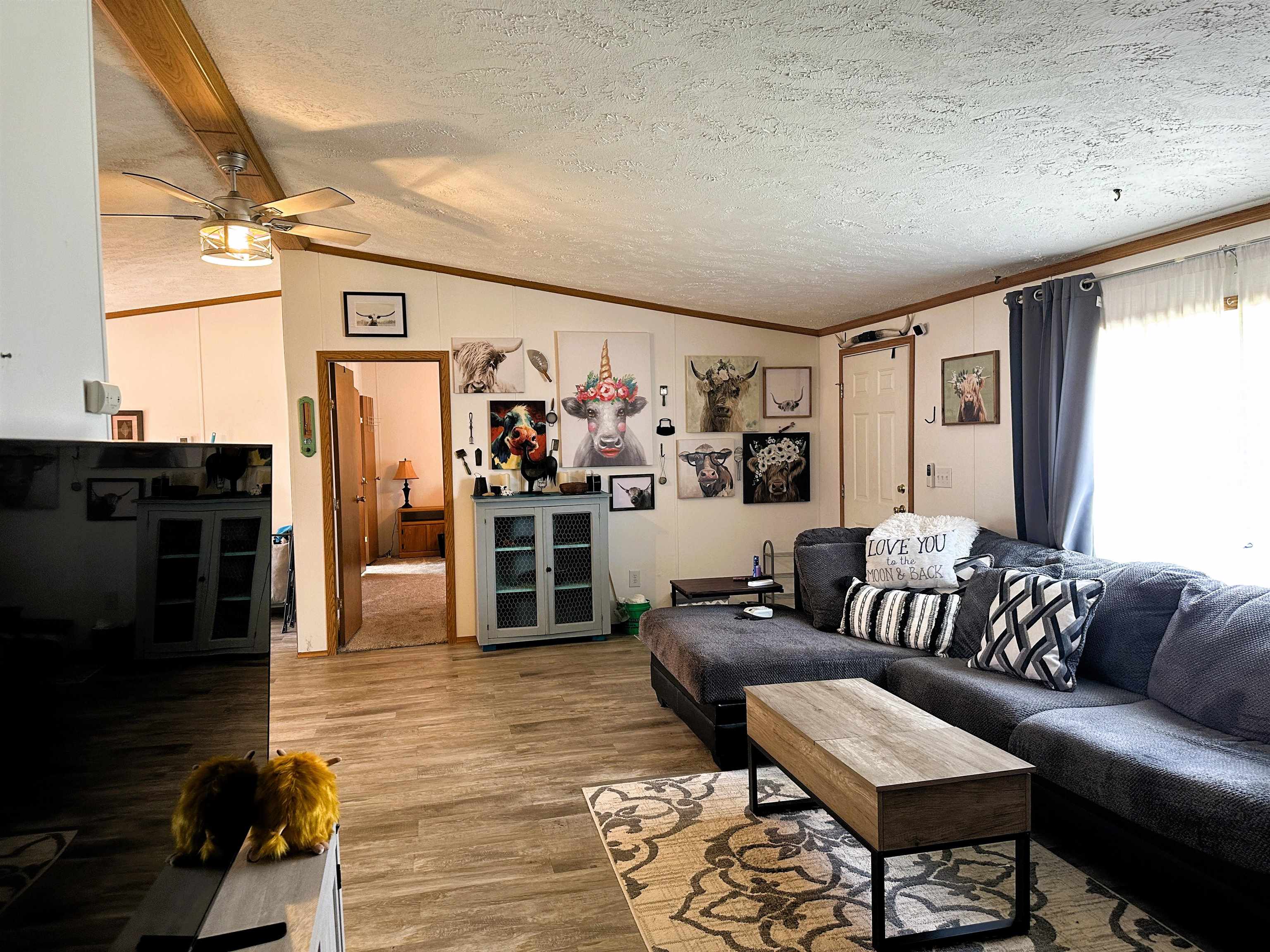 291 Highway 2 Dixon, IL 61021 - Photo 9 of 27 a living room with furniture and a rug