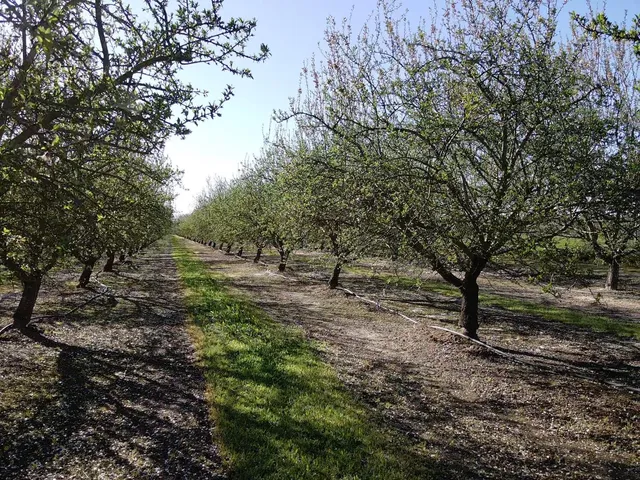 $1,850,000 | 1119 North Verduga Road, Turlock, CA 95380