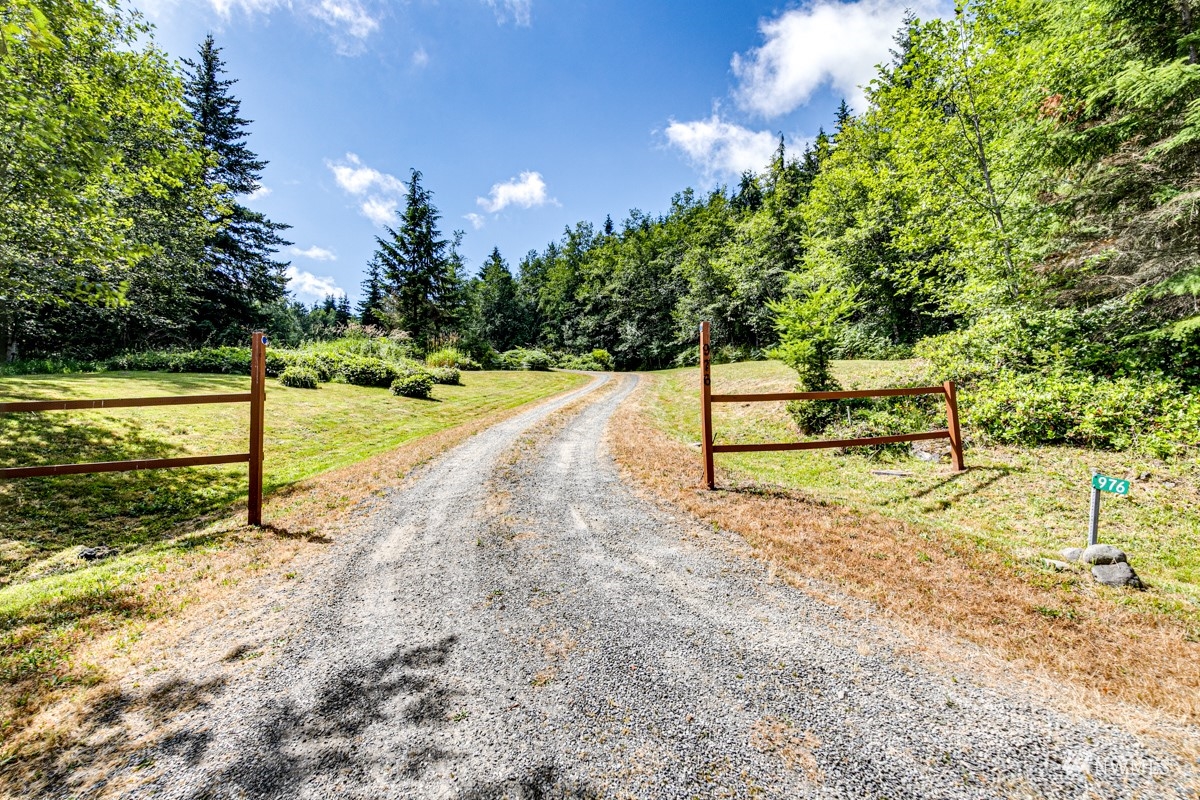 976 Township Line Road Port Angeles, WA 98362 - Photo 40 of 40 a view of a yard with an trees