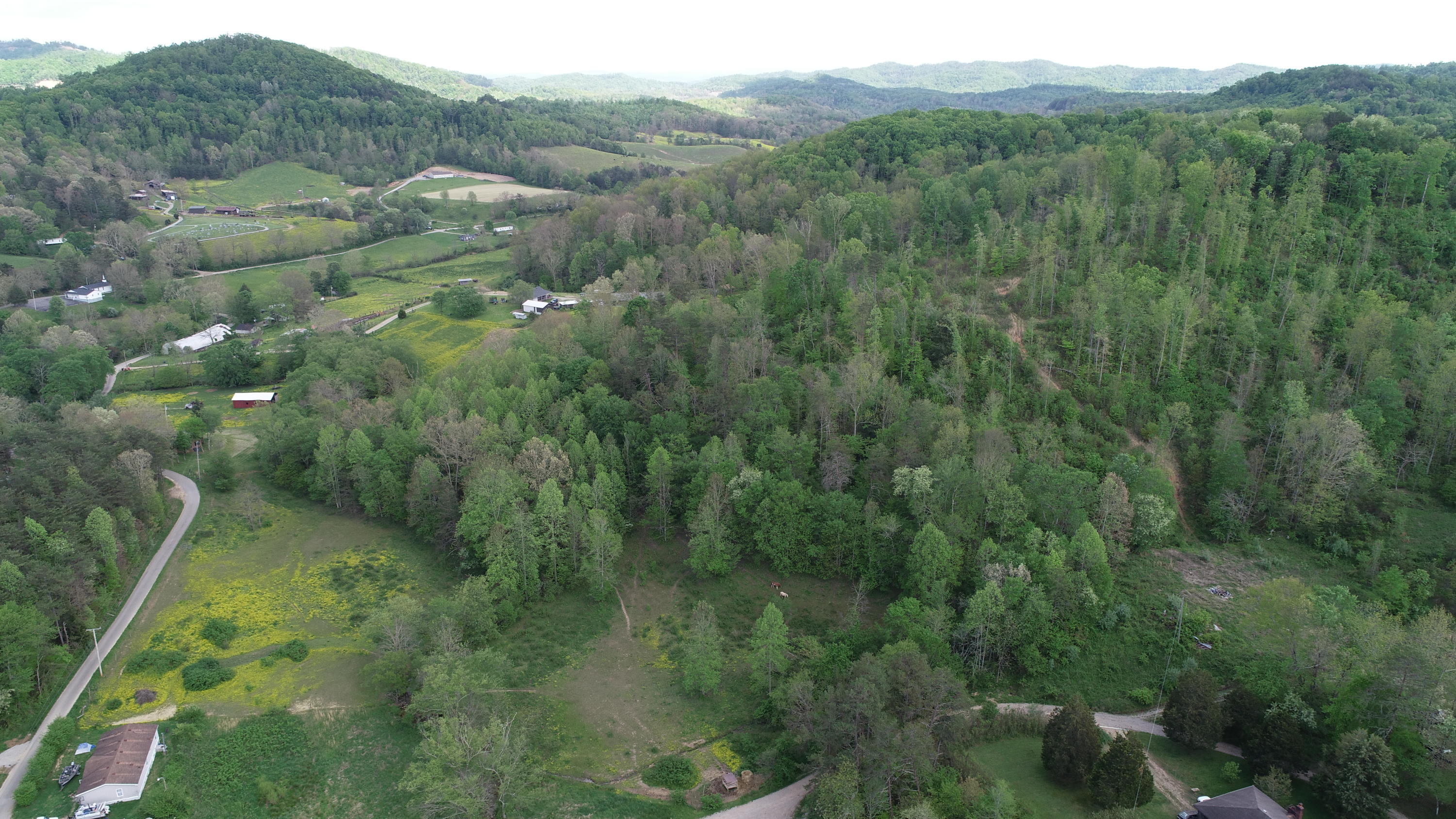 395 Ainer Jackson Road Corbin, KY 40701 - Photo 7 of 18 DJI_0254