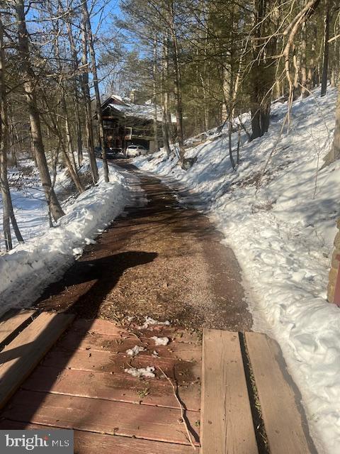 140 Clay Ridge Road Ottsville, PA 18942 - Photo 4 of 10 Serene winter path through the woods.
