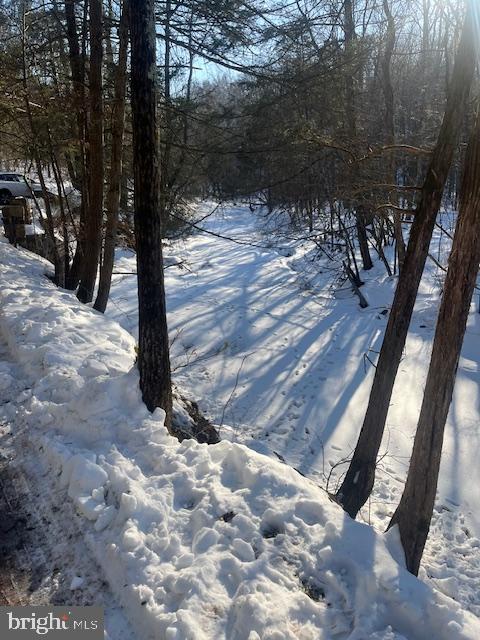 140 Clay Ridge Road Ottsville, PA 18942 - Photo 10 of 10 Winter's serene beauty along a snowy creek.