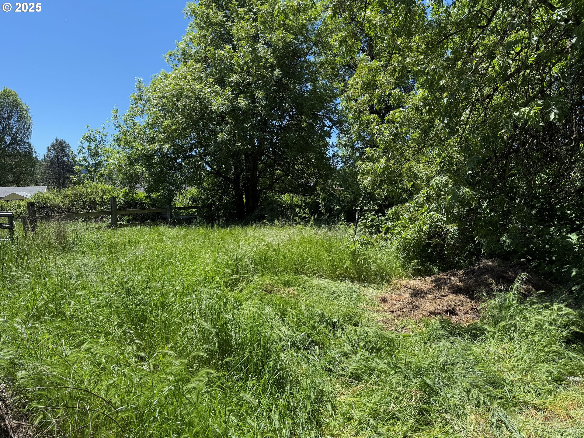 5189 Strickland Canyon Road Tenmile, OR 97481 - Photo 38 of 39