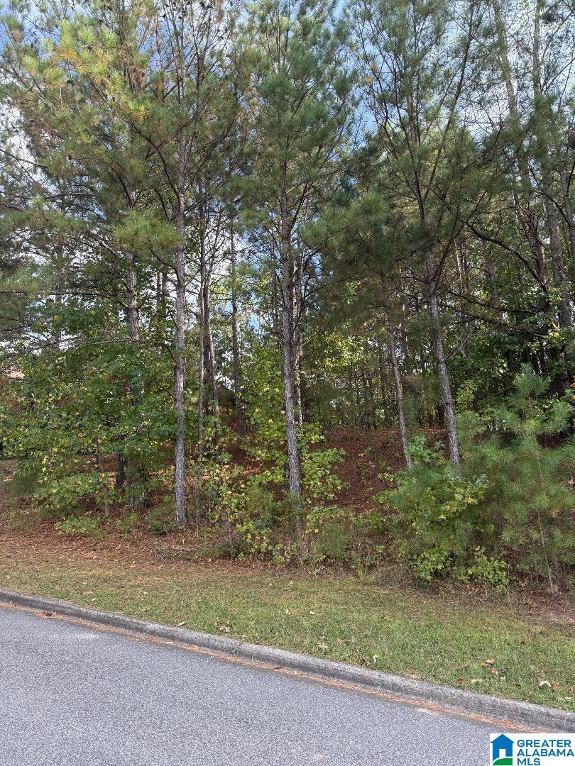 325 Deer Ridge Lane, Unit 29 Chelsea, AL 35043 - Photo 13 of 17