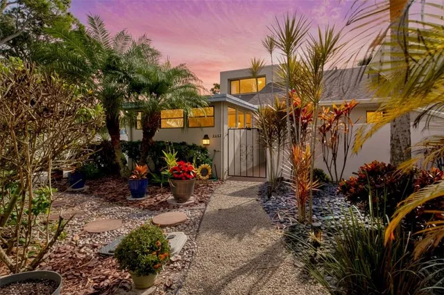 a view of a park with large trees