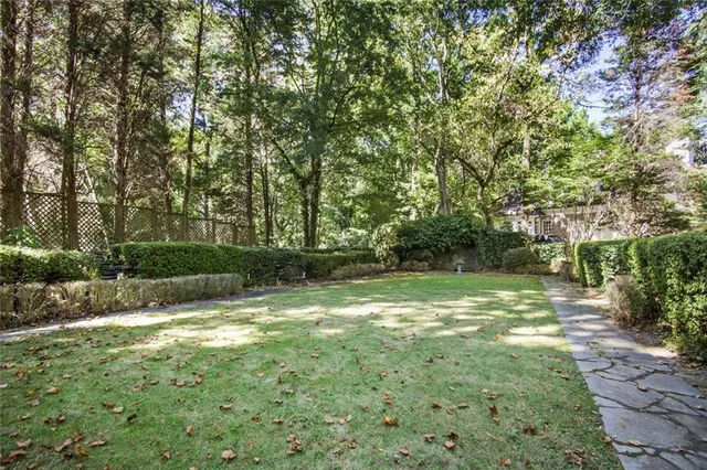a view of backyard with green space
