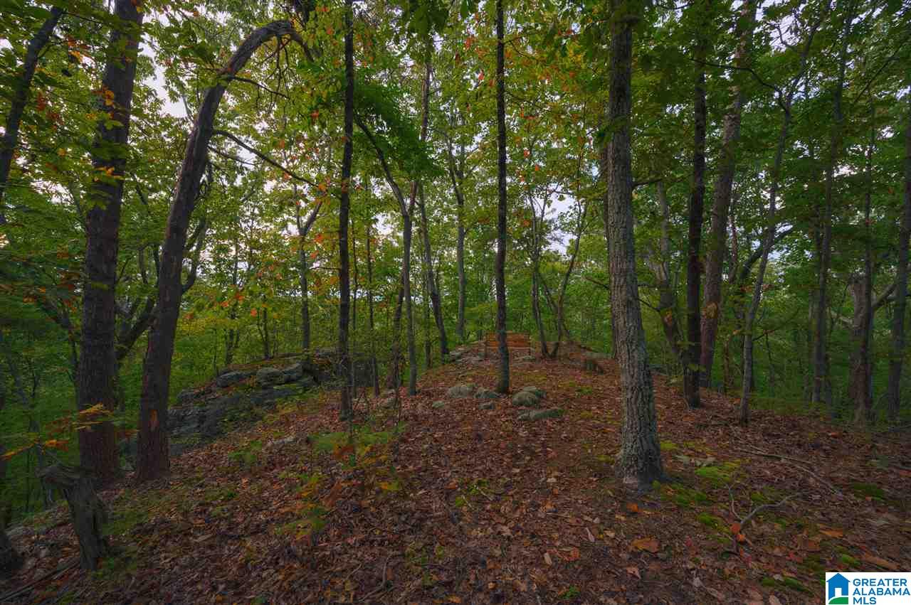 860 Country Road Warrior, AL 35180 - Photo 7 of 41 Gallery Image 7