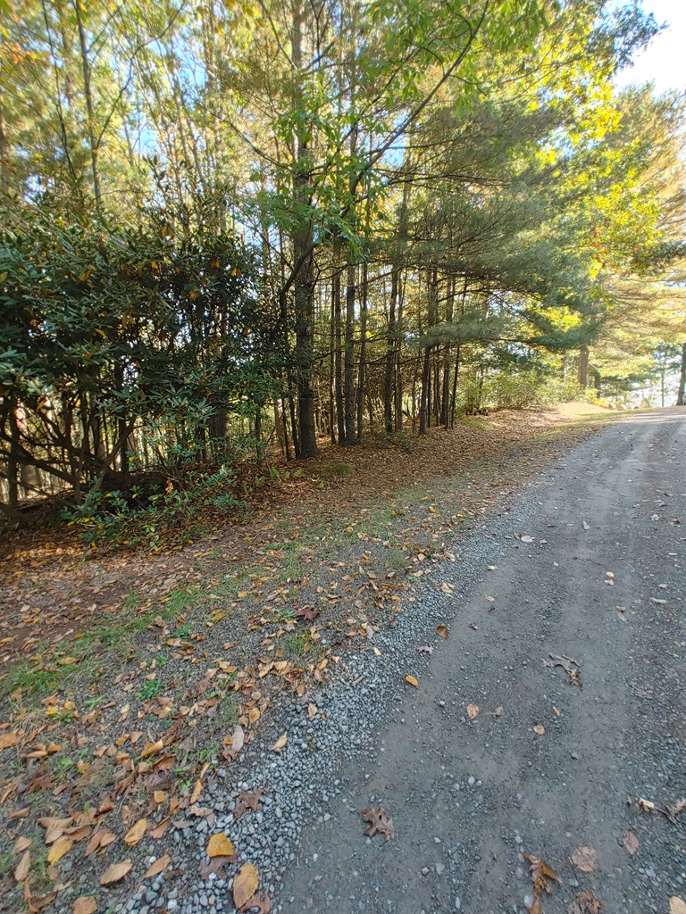 10 Upper Ridge Road, Unit 10 Meadows Of Dan, VA 24120 - Photo 6 of 30 Gallery Image 6