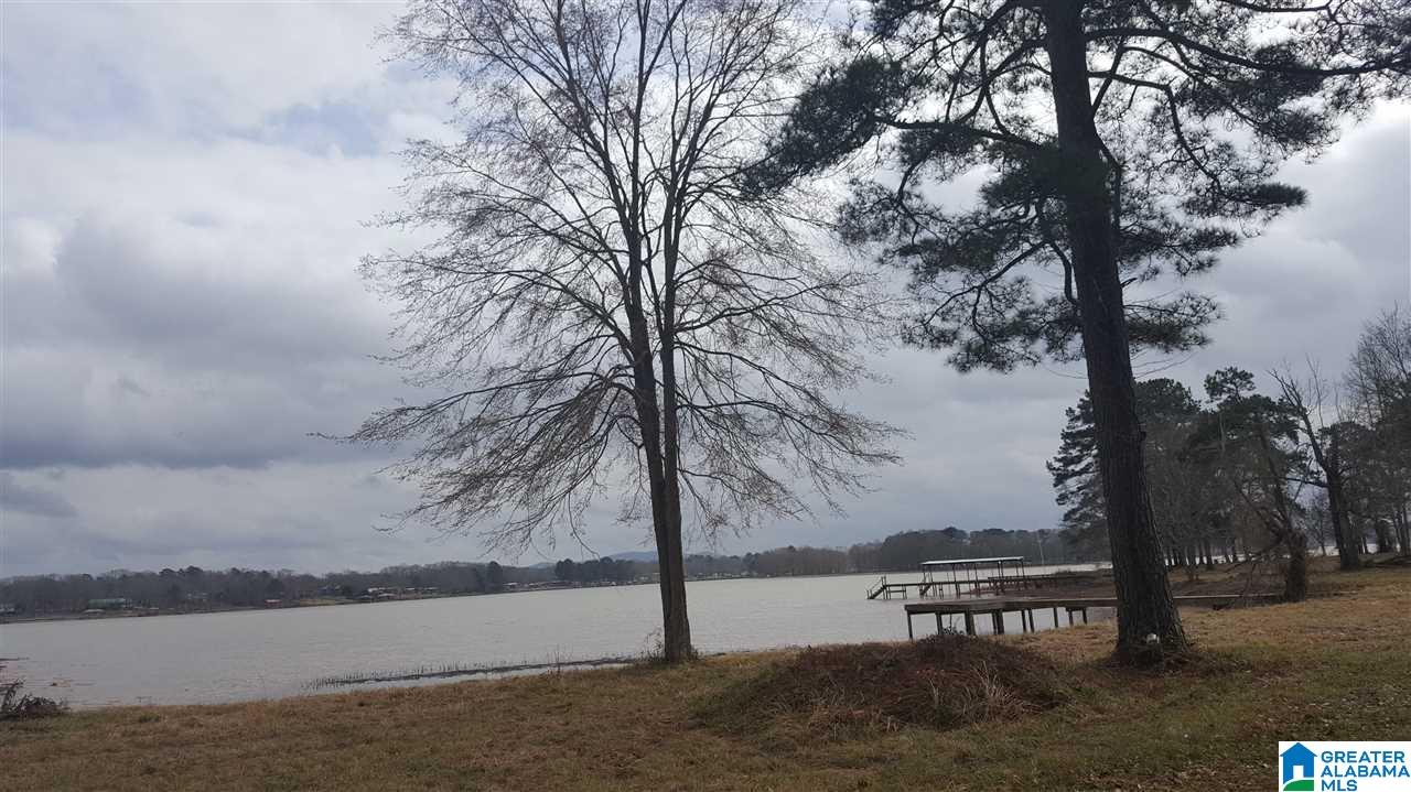 107 Zeltman Hills Road Pell City, AL 35128 - Photo 31 of 32