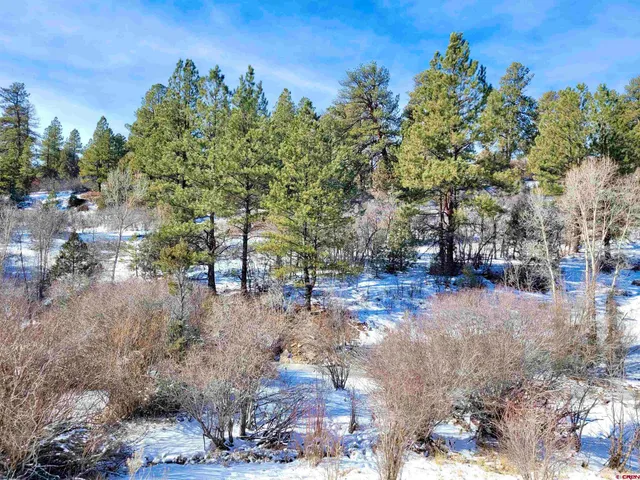 $230,000 | Lot #36 North Gurley Lake Drive, Norwood, CO 81423