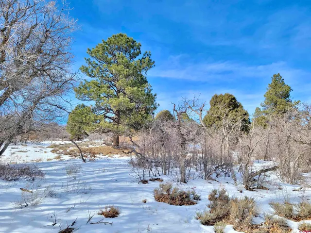 $230,000 | Lot #36 North Gurley Lake Drive, Norwood, CO 81423