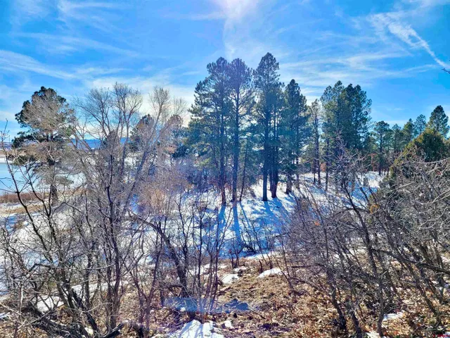$230,000 | Lot #36 North Gurley Lake Drive, Norwood, CO 81423